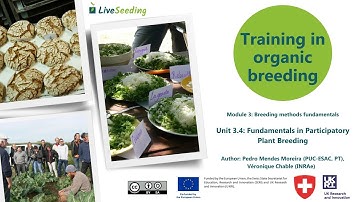 Training in organic breeding, Module 3 - Fundamentals in Participatory Plant Breeding