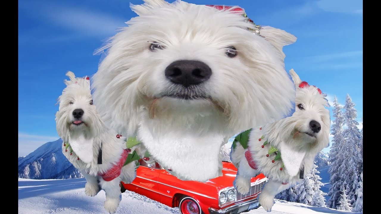 Master Santas Sleigh Worst Christmas Song Ever YouTube Master Santas Sleigh Worst Christmas Song Ever YouTube
