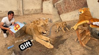 Lion Ko Bht Pyara Gift Da Dea