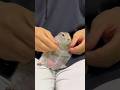【TikTokでバズり中‼️】噂のカマリキダンスとは❓ #ピー助 #リチャードソンジリス #animal