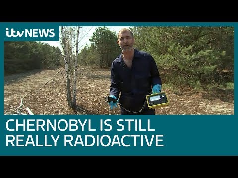 Video: What Radiation Did To The Inhabitants Of The Chernobyl Exclusion Zone - Alternative View