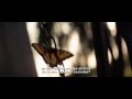 EL HOMBRE DE ACERO - Tráiler 3 subtitulado HD - Oficial de Warner Bros. Pictures