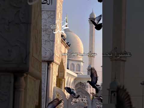 صلوا على خير البرية تغنموا اللهم صل على سيدنا محمد وال محمد عدد ما ذكرك الذاكرون
