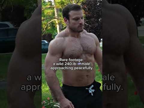 #bodybuilding #mlm