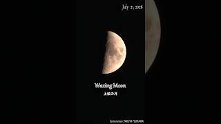上弦の月 2026/07/21 (age of the moon 6.7) #moon #月 #shorts #上弦