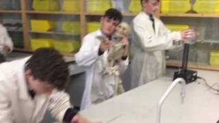 Cólaiste Treasa Science Week Mannequin Challenge