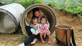 Harvesting Watermelons, Large and Sweet Fruits to sell at the market  Making bamboo trellises