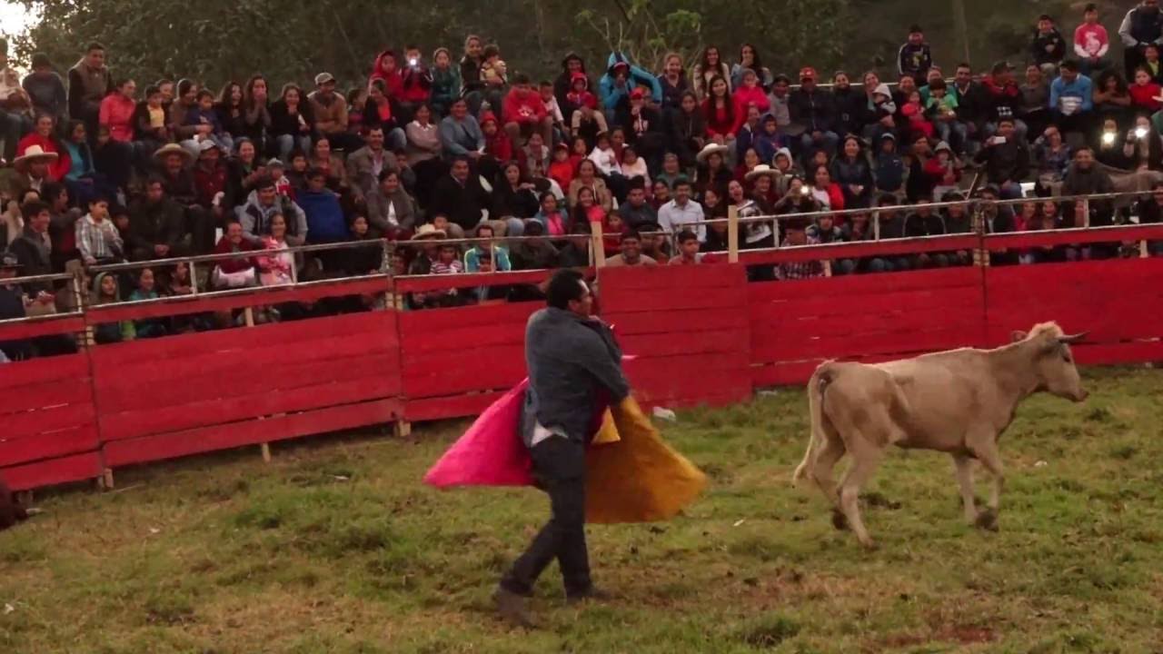 alcalde de lajas en la corrida de toros camera iphone 8 plus apk