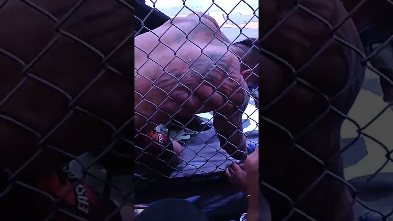 The Mammoth Sugar Estroso Knocked out BOSS Bullet and Bumangga giba