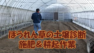 ほうれん草ハウス土壌診断からの施肥・耕起作業#843