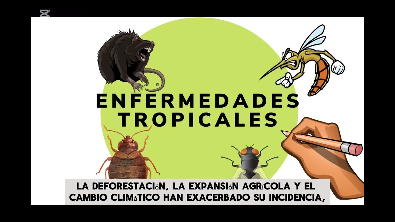 Enfermedades tropicales recurrentes en el ámbito forestal...👍