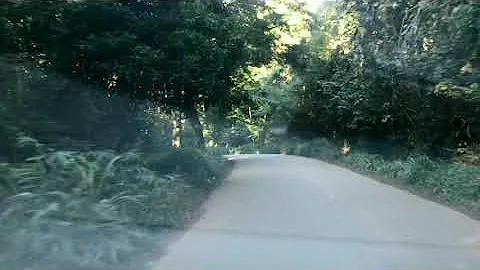 CHIRINDA FOREST DRIVE