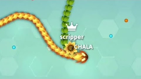 Giant Snake VS Tiny Snake? Snake.io Epic Snake.io Gameplay #snake #chala