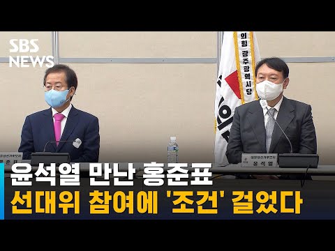 윤석열 만난 홍준표, 선대위 참여에 '이 조건' 걸었다 / SBS