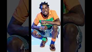 Hibachi - Kodak Black Verse Only