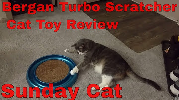 🐈 Bergan Turbo Scratcher Cat Toy Unboxing and Review! Sunday Cat 🐈