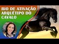 ARQUÉTIPO DO CAVALO | Animal de Poder | Com Biokinesis para Poder Pessoal, Coragem, Direção | 417Hz