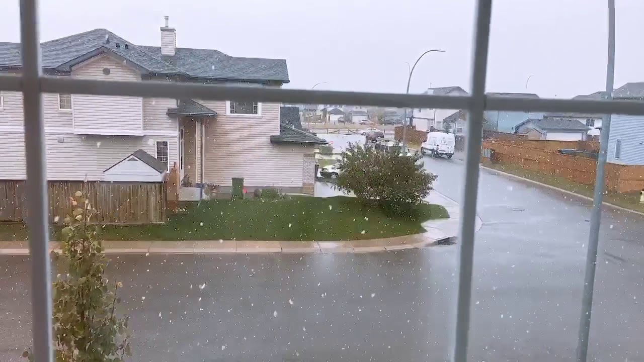 Mixed Snow and Sleet ️🌨 Calgary - YouTube