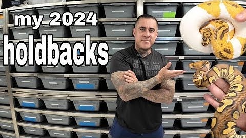 Most Expensive Snake Rack In Our Collection !!