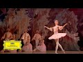 Mariinsky orchestra  valery gergiev  tchaikovsky the nutcracker danse de la fe drage