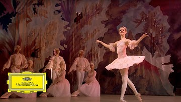 Mariinsky Orchestra & Valery Gergiev – Tchaikovsky: The Nutcracker 