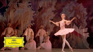 Mariinsky Orchestra &amp; Valery Gergiev – Tchaikovsky: The Nutcracker &#39;Danse de la fée dragée&#39;