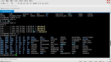 06 linux文件系统2【北京尚学堂·百战程序员】