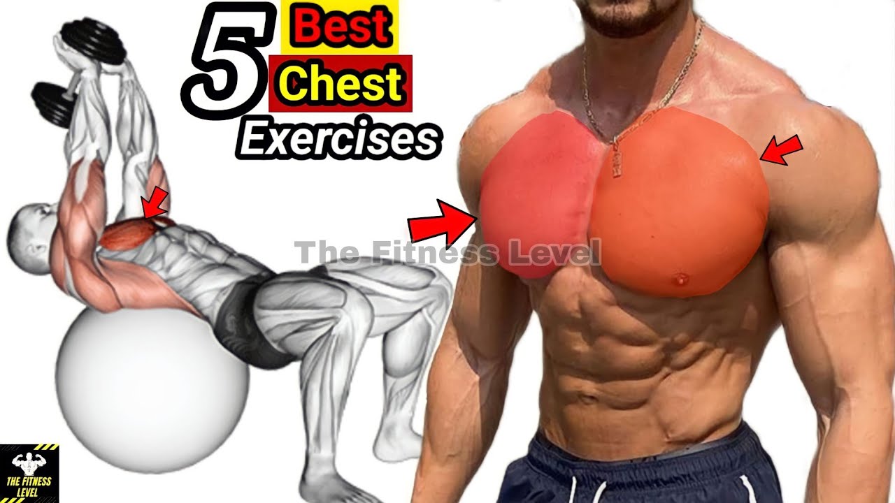Chest Level 5 Best Exercises For Massive Chest || The Fitness Level - YouTube