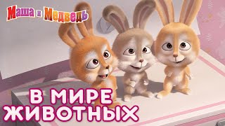 Маша и Медведь 👱‍♀️🐻 В мире животных 🦊🐷 Коллекция лучших серий про Машу 🎬