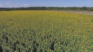 Wis. Widowers 4 Mile Tribute To Wife Goes Viral Net Worth