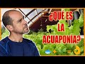 ¿Qué es la acuaponía? #1 Aprende acuaponía paso a paso (curso gratis)