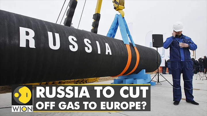 IEA chief issues warning: 'Russia may cut off Europe's gas supply' | International News | WION - DayDayNews