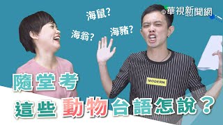 隨堂考！ 這些動物台語怎說？  台語珍輪轉  第106回20200319 