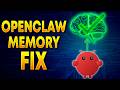 How To Fix Your OpenClaw's Memory FOR GOOD (Compaction & Indexing Fix)