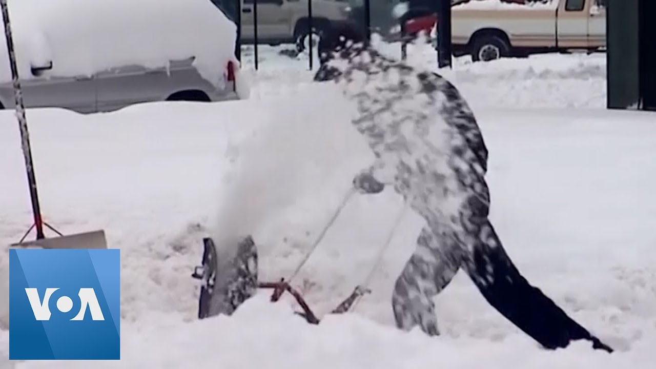 Heavy Snow Blankets Towns in Washington State - YouTube
