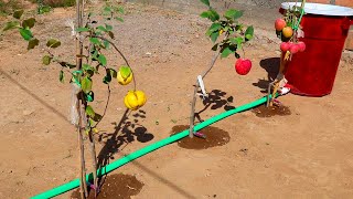 Como hacer RIEGO POR GOTEO POR GRAVEDAD atomatico y casero de 100 litros.