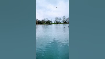 تلاوة خاشعة (كُنْتُمْ خَيْرَ أُمَّةٍ أُخْرِجَتْ لِلنَّاسِ تَأْمُرُونَ بِالْمَعْرُوفِ...)