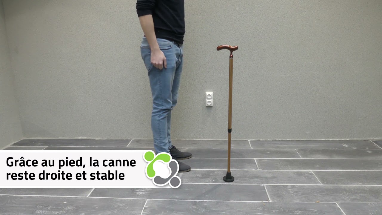 Pied autostable pour canne