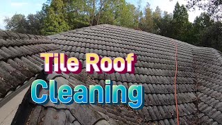 Tile Roof Soft Wash using 12volt pump