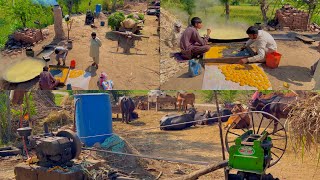 Exploring a Small Factory of Sugarcane in Punjab village | Traditional way of Making Desi Gur 