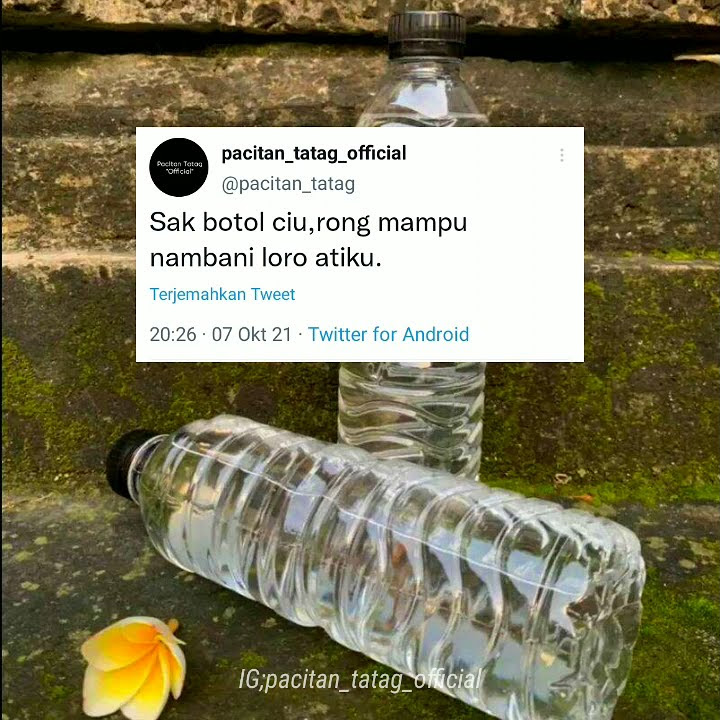 kata kata story wa || loro atiku