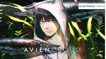 Candid Oak – The Path Forward