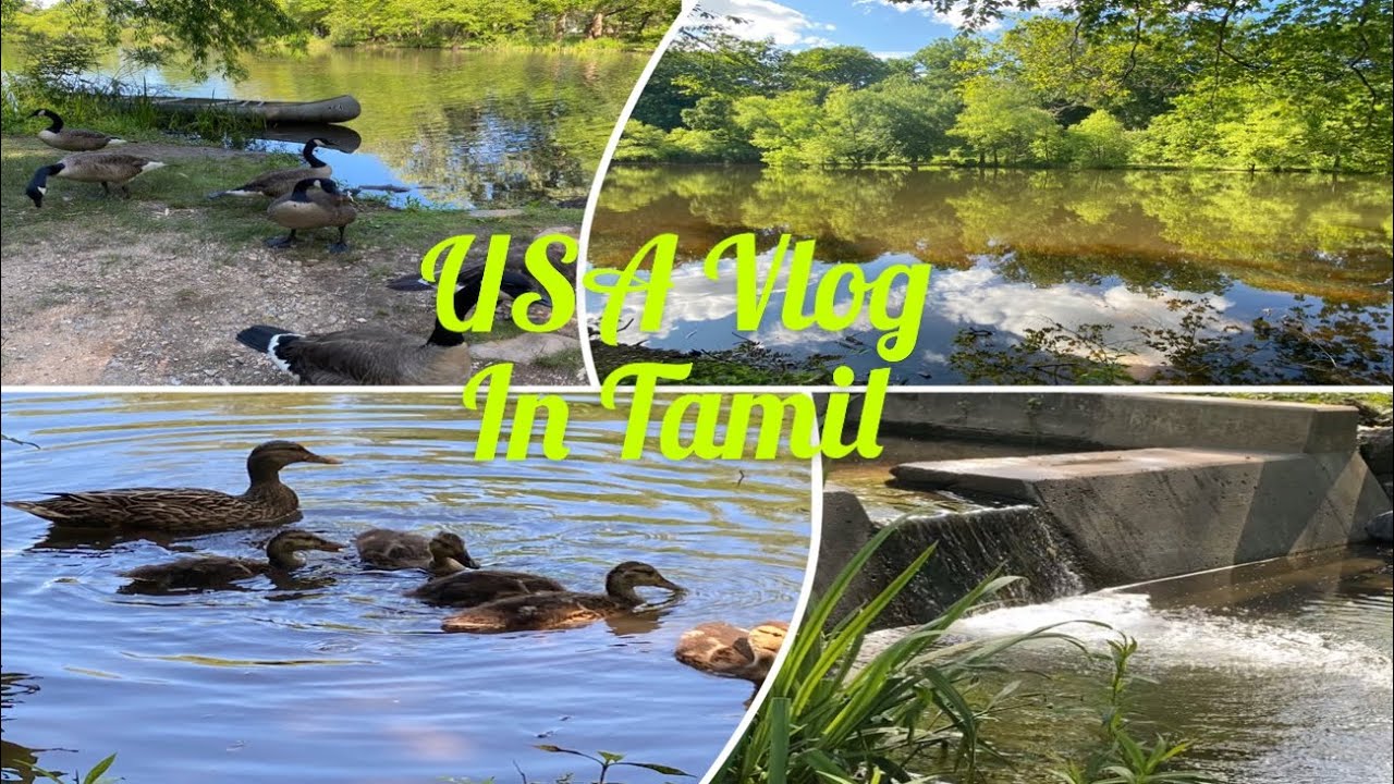USA Tamil Vlog Fenimore woods park Lockdown YouTube