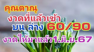 คุณตาณุ งวดที่แล้วเข้า บนล่าง60/90งวดนี้ให้มาแล้ว1.มิ.ย.67