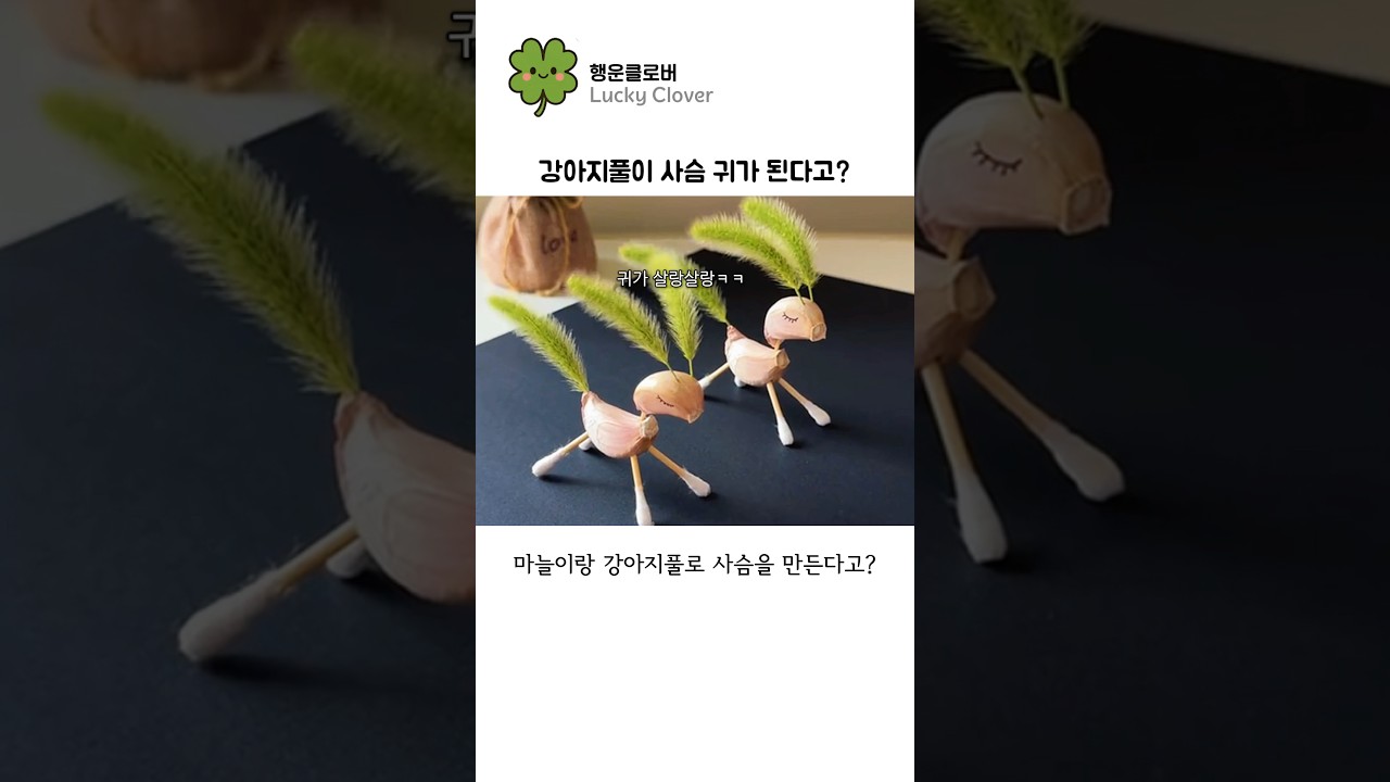 강아지풀이 사슴 귀가 된다고?🫎