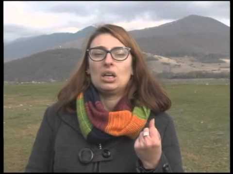 ნარჩენების მართვის პროექტი და კაკლების ხეივანი პანკისის ხეობაში