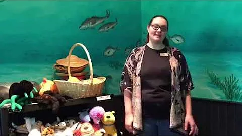 Ashton Baker Destin Library Child Programs