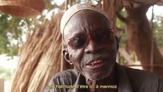 ( Reportage ) Mame Amadou Koundoul : Pourquoi ce metier va bientot disparaitre ?