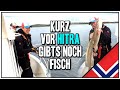 KURZ VOR HITRA GIBTS NOCH FISCH | Angelurlaub auf Dolmoy (Gjestebrygge) in Norwegen | 2017