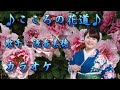 【新曲】こころの花道 / 朝花美穂 /カラオケ/2026年01月14日発売